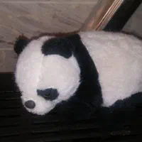 عروسک پولیشی|اسباببازی بچه|قم, شاه ابراهیم|دیوار