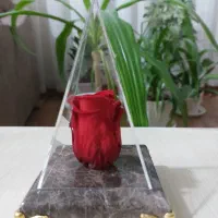 کادو گل جاودان