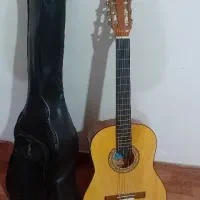 گیتار پارادایسc60