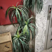 درختچه مصنوعی