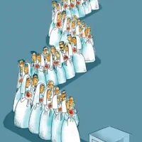 خدمات ثبتی زوج ها