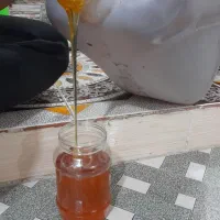 عسل کنار درجه یک|خوردنی و آشامیدنی|بوشهر, |دیوار