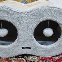 لانه‌ی گربه عینکی