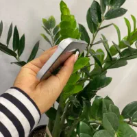 iPhone 17|موبایل|مشهد, احمدآباد|دیوار