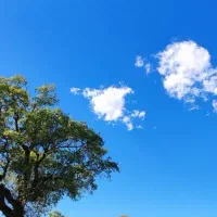 راهنمایی برای تفریح