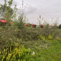 ۶۱۳ متر زمین داخل طرح هادی در اطراف لاهیجان|فروش زمین و ملک کلنگی|لاهیجان, آهندان|دیوار