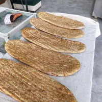 شاطر بربری
