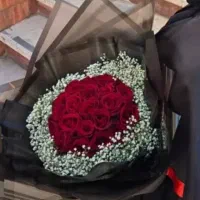 انواع دسته گل رز ، رز هلندی فقط شاخه ای 20تومان|گل و گیاه طبیعی|مشهد, هنرور|دیوار