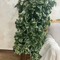 درخت مصنوعی با گلدون سالم و بسیار تمیز|گل مصنوعی|تهران, جیحون|دیوار