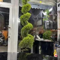مغازه مولوی روبرو تختی ۱۱ متری