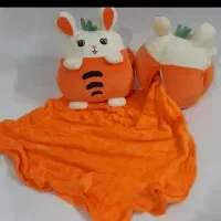 پتو عروسکی|رختخواب، بالش، پتو|کرج, عظیمیه|دیوار