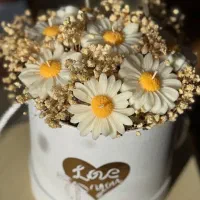 باکس شمع بابونه