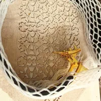 کمربند حرفه ای بدنسازی و پاورلیفتینگ