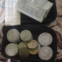 پرنده عروس هلندی