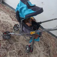 کالسکه|کالسکه و لوازم جانبی|میناب, |دیوار