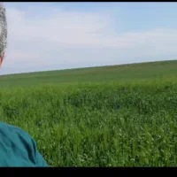 ده هکتار زمین کشاورزی دیم