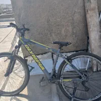 چرخ زرد طوسی