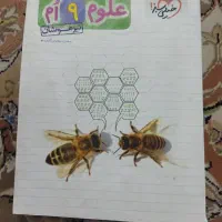 دوتا کتاب تیزهوشان خیلی سبز