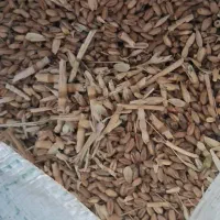 فروش گندم گونی شده