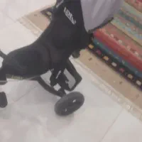 دوچرخه کودک|دوچرخه، اسکیت، اسکوتر|بجنورد, |دیوار