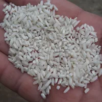 برنج حسنی|خوردنی و آشامیدنی|صومعهسرا, |دیوار