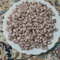 لوبیا قرمز وچیتی