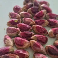 استخدام نیروی انبار شرکت پسته