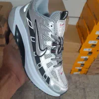 تولید پخش|کیف، کفش، کمربند|دهق, |دیوار