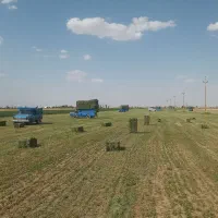 یونجه همدان|حیوانات مزرعه|وحیدیه, |دیوار