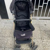 کالسکه|کالسکه و لوازم جانبی|لاهیجان, لیل|دیوار