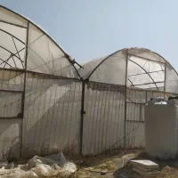 سازه گلخانه