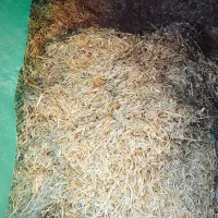 کاه|لوازم جانبی حیوانات|هریس, |دیوار