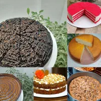 آموزش اصولی ۵ نوع کیک عصرانه وکافه ای
