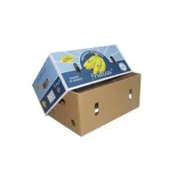 کارتن موز نو ۲۰ عدد