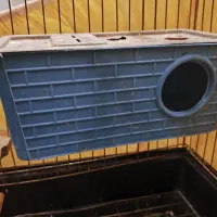 مرغ عشق نر کار داده مست زیر قیمـ ــت|پرنده|مشهد, هدایت|دیوار