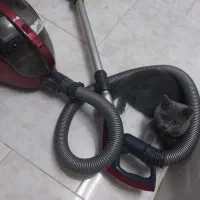 جاروبرقی|جاروبرقی، جارو شارژی، بخارشو|گرگان, |دیوار