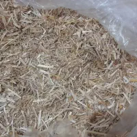 کاه گندم|عمده‌فروشی|مینودشت, |دیوار