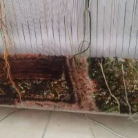 تابلو فرش آماده بافت.   برای فروش