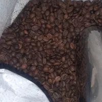 انواع دون قهوه برای مصرف خانگی و کافه