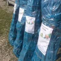 پیش فروش پاییزه نهال در نهالستان رویش نهال آغاز شد|خدمات باغبانی و درختکاری|کرمانشاه, |دیوار