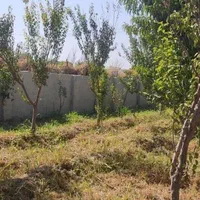 ۸۶۰ متر  باغچه ( رضی آباد)|فروش زمین و ملک کلنگی|تهران, صاحب الزمان|دیوار