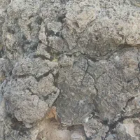 اشیا قیمتی کلکلسیونی|کلکسیون اشیاء عتیقه|شیراز, محمدیه|دیوار