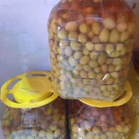 زیتون درشت فارس