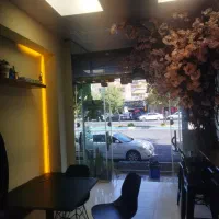 استخدام