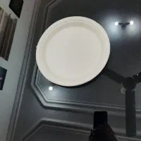 ظروف یکبار مصرف گیاهی