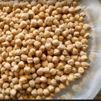 نخود محلی بوجاری شده