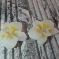 شمع ارکیده|صنایع دستی و سایر لوازم تزئینی|تهران, مجیدیه|دیوار