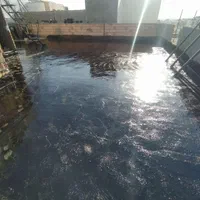 ایزوگام قیرگونی آسفالت تضمینی شبانه روزی|خدمات پیشه و مهارت|رباط‌کریم, رباط‌کریم|دیوار