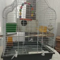 قفس