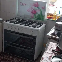 لوازم خانه|آب‌چکان و نظم‌دهنده ظروف|ابهر, |دیوار